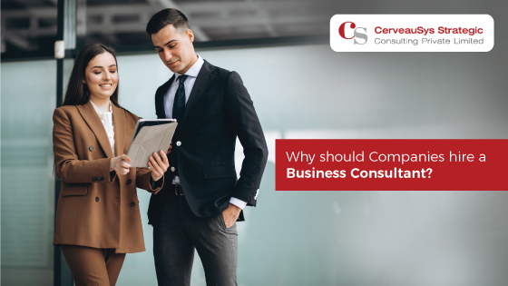 Why Should Companies Hire a Business Consultant?